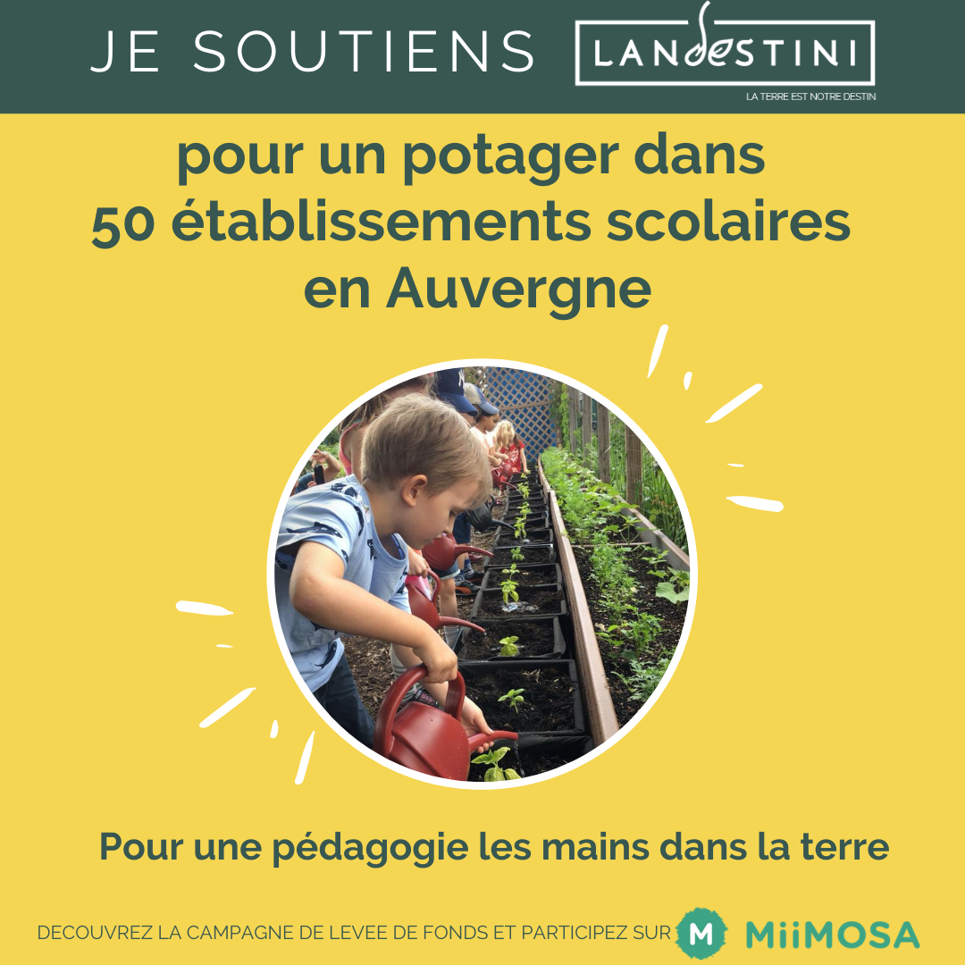 Landestini Potager Soutien et info miimosa