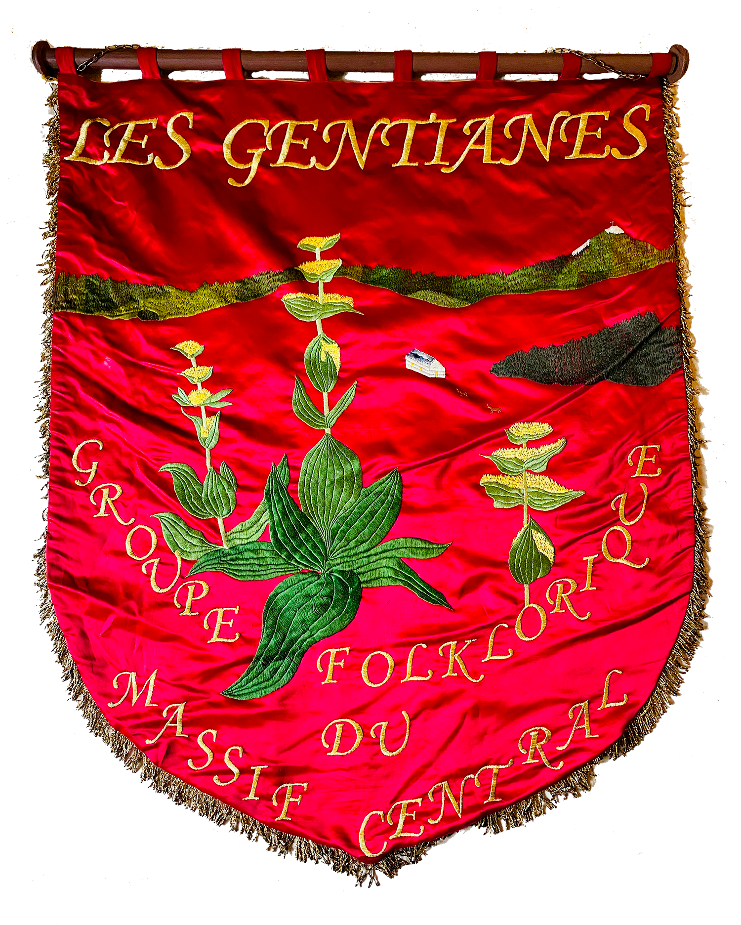 les gentianes